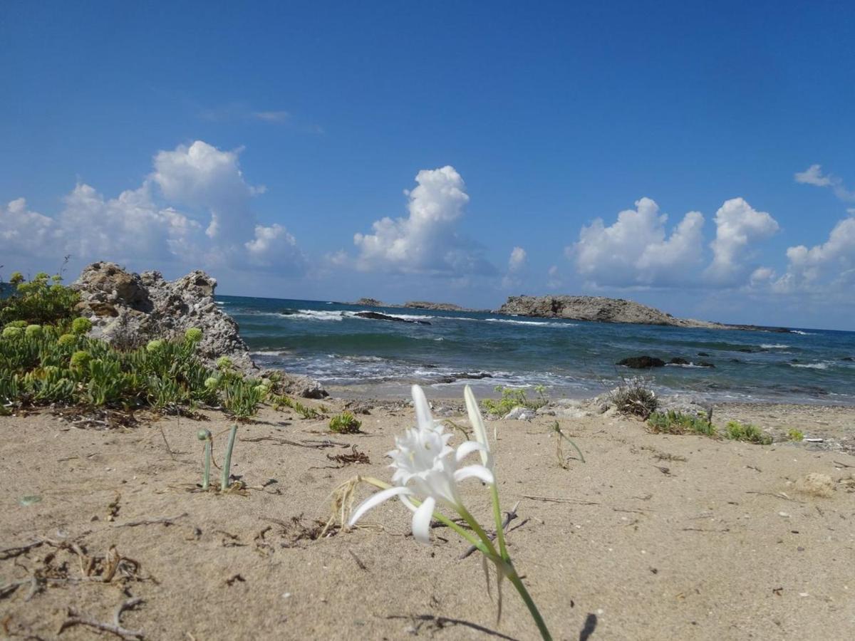 Julies Apartments Kokkini Hani エクステリア 写真